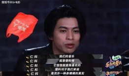 国产你懂,揭秘国产你懂背后的创新与实力